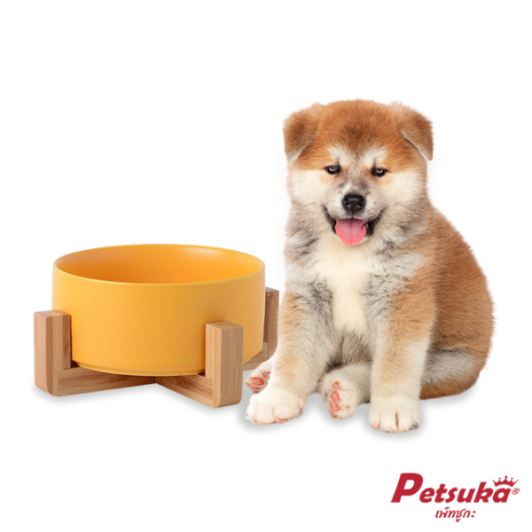 Petsuka Pet Bowl Ceramic Yellow Color