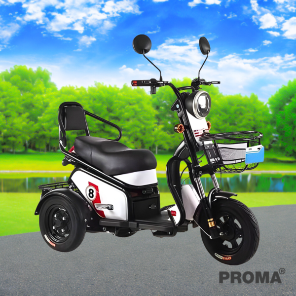 Small 3-wheel electric motorcycle
