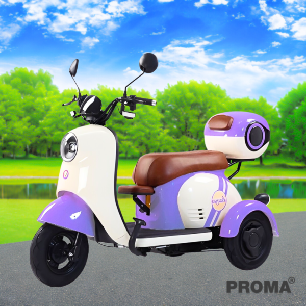 Large 3-wheel electric motorcycle