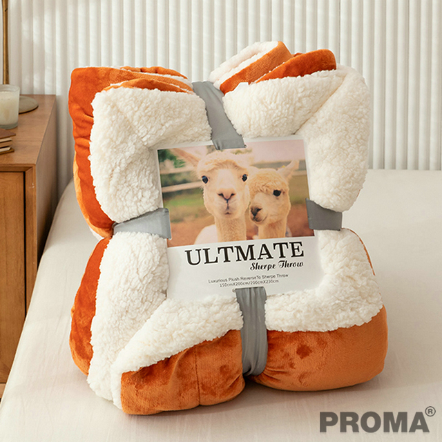  Lamb Fleece Blanket Winter Thickening