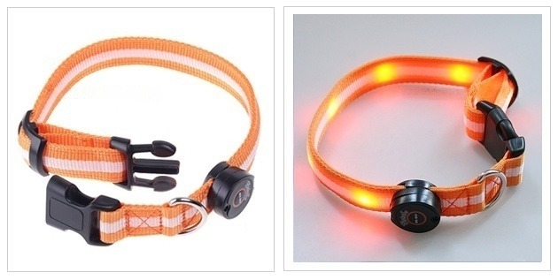 Safety LED Dog Pet Collar ͡عѢ