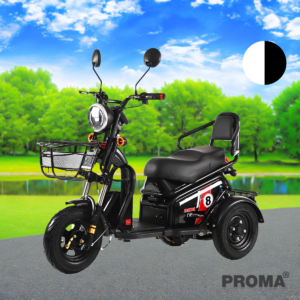 䫤俿 3  Ҵ PROMA EV-G EM3W-1