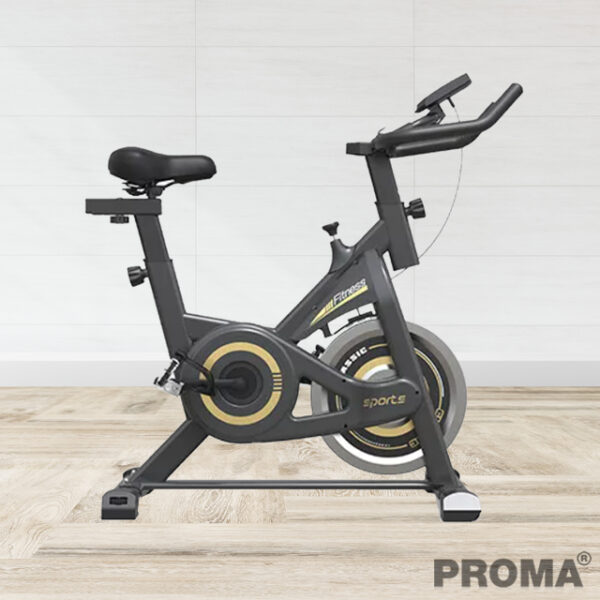 Indoor Fitness Spinning Bike Weight Loss Gym Equipment