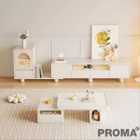 Luxury Modern multifunctional TV Cabinet Coffee Table